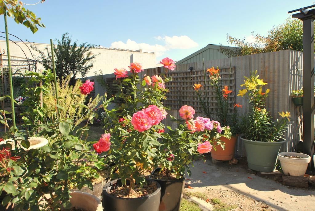 Cooma Cottage Exterior foto
